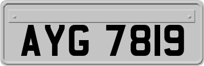 AYG7819