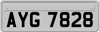 AYG7828