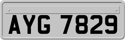 AYG7829