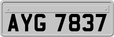 AYG7837