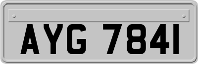 AYG7841