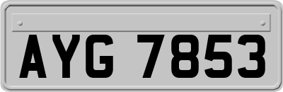 AYG7853