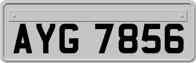 AYG7856