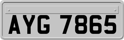 AYG7865