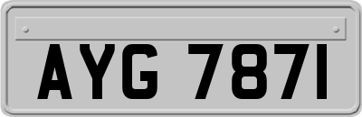 AYG7871