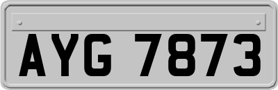 AYG7873