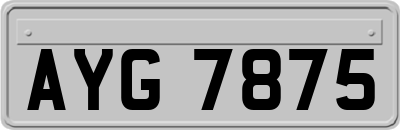 AYG7875
