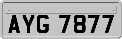 AYG7877