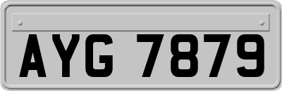 AYG7879
