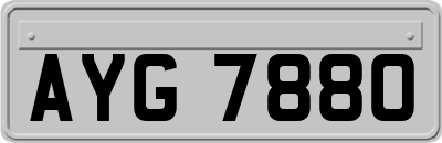 AYG7880
