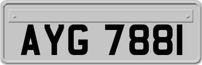 AYG7881