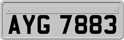 AYG7883