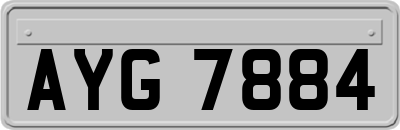 AYG7884