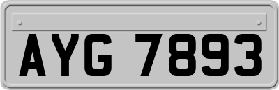 AYG7893