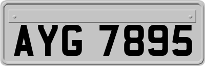 AYG7895