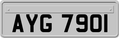 AYG7901