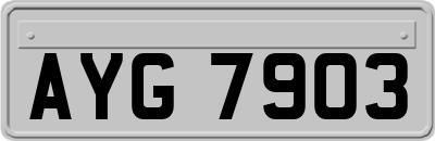 AYG7903