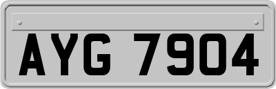 AYG7904