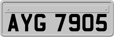 AYG7905