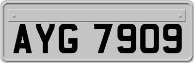AYG7909