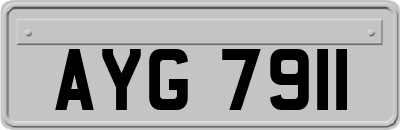 AYG7911