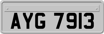 AYG7913