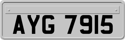 AYG7915
