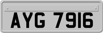 AYG7916
