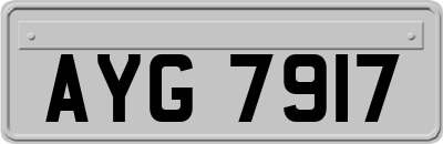 AYG7917