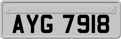 AYG7918