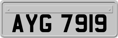 AYG7919