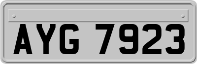AYG7923
