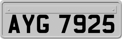 AYG7925