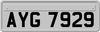 AYG7929