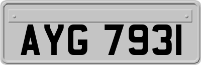 AYG7931