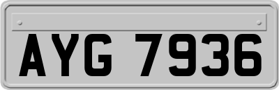 AYG7936