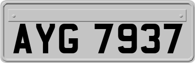 AYG7937