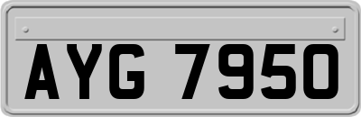 AYG7950
