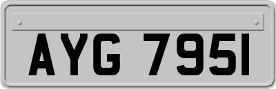 AYG7951
