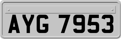 AYG7953