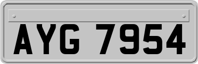 AYG7954