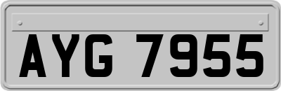 AYG7955