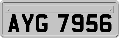 AYG7956