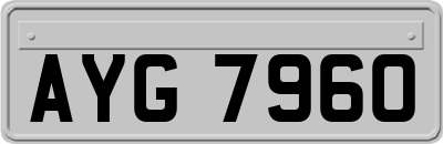 AYG7960