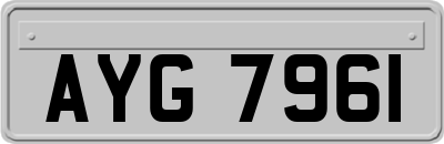 AYG7961