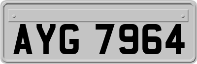 AYG7964