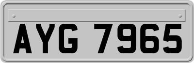 AYG7965