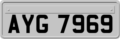 AYG7969
