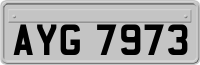 AYG7973