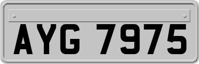 AYG7975